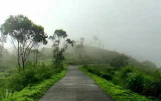 Pathanamthitta Luxury Hotel