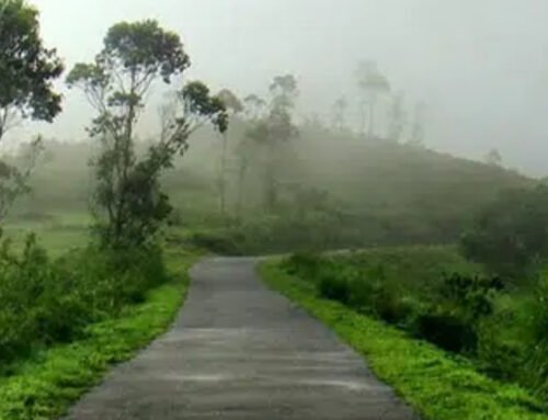 Best Time to Visit Pathanamthitta for a Perfect Kerala Trip