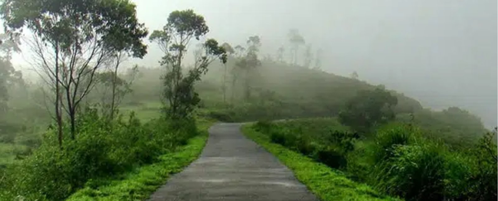 Pathanamthitta Luxury Hotel