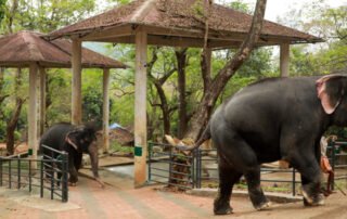 Best Hotels in Pathanamthitta Near Tourist Attractions