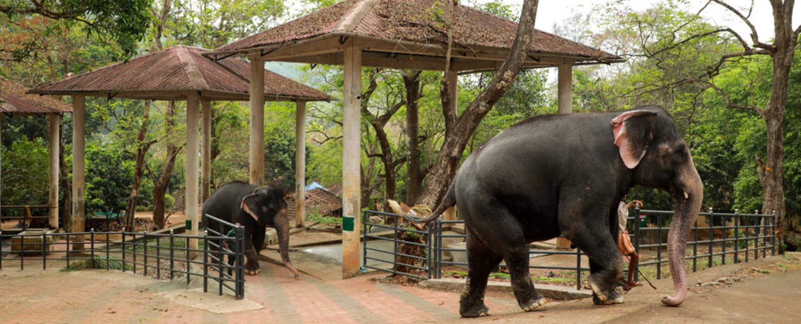 Best Hotels in Pathanamthitta Near Tourist Attractions