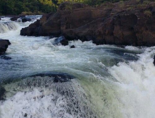 Hotels in Pathanamthitta for One-Day Stay and Short Trips