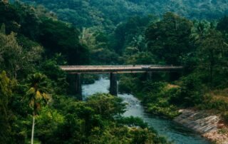How Many Days Are Enough to Explore Pathanamthitta?