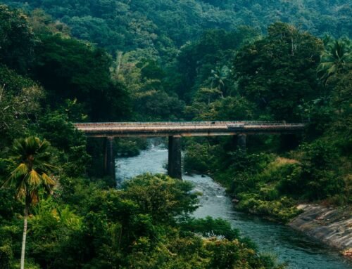 How Many Days Are Enough to Explore Pathanamthitta?