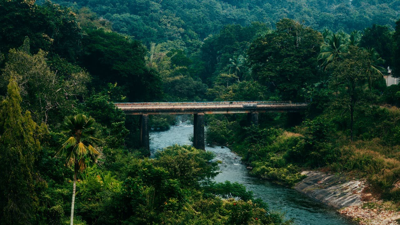 Explore Pathanamthitta How Many Days Are Enough to Explore Pathanamthitta?