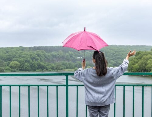 Is June a Good Month to Visit Pathanamthitta? Monsoon Travel Guide for 2026